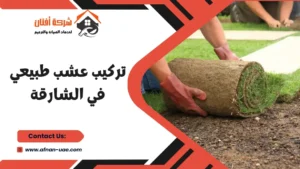 شركة تجهيز ملاعب في الشارقة